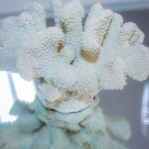 Escultura coral em polirresina